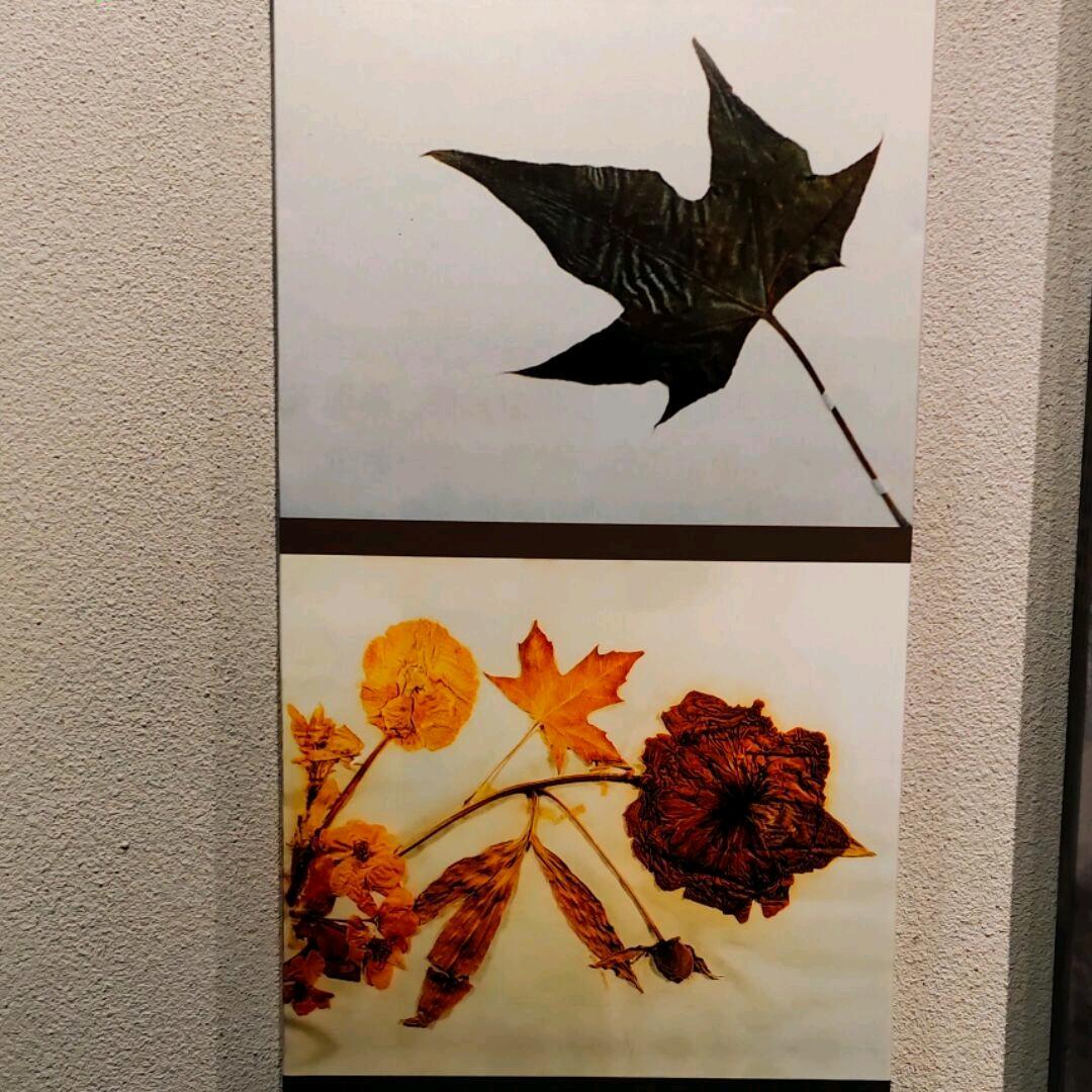 嗯