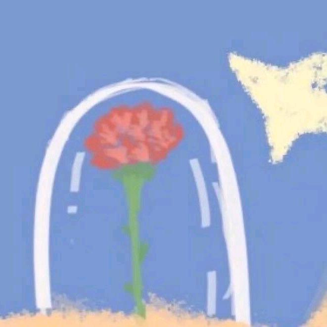 是辉鸭