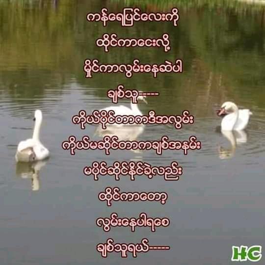 တမိုးအောက်