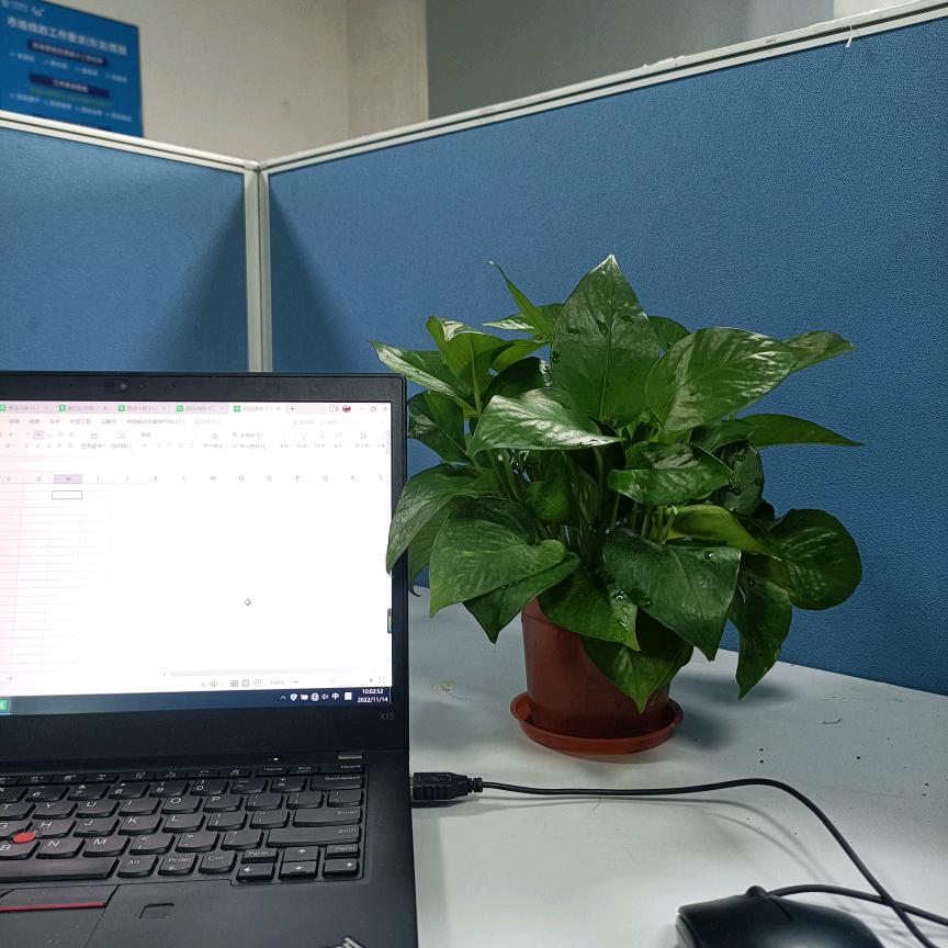 奔跑的蜗牛呀