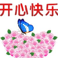 开心快乐🌹🌹送给你💏👍😃😃