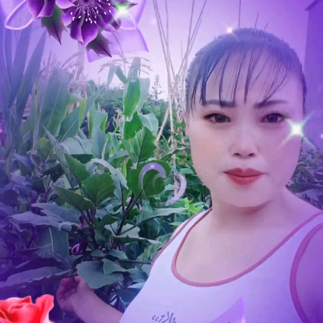 凉都小姐姐