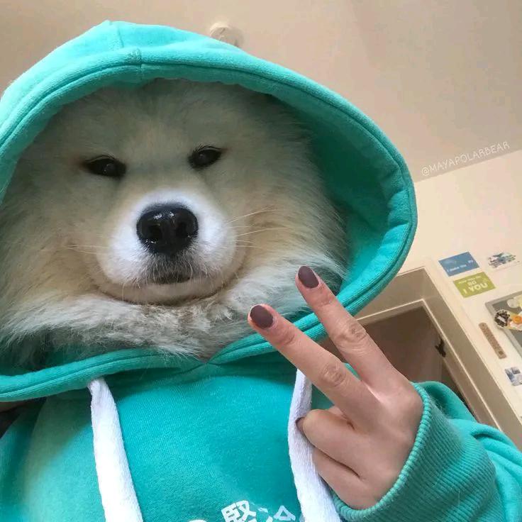 西伯利亚悍妇