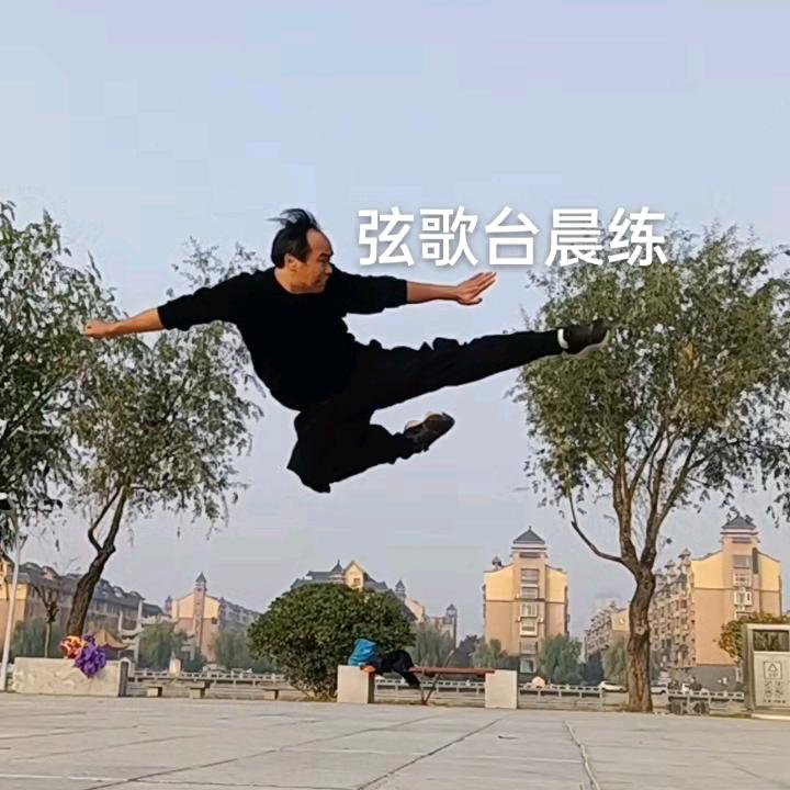 淮阳李明芝