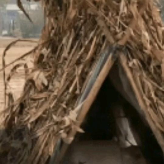 哥也不是当年的哥