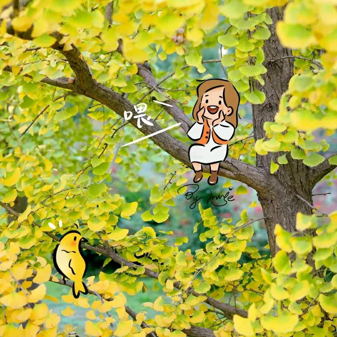 🌻Xian头像