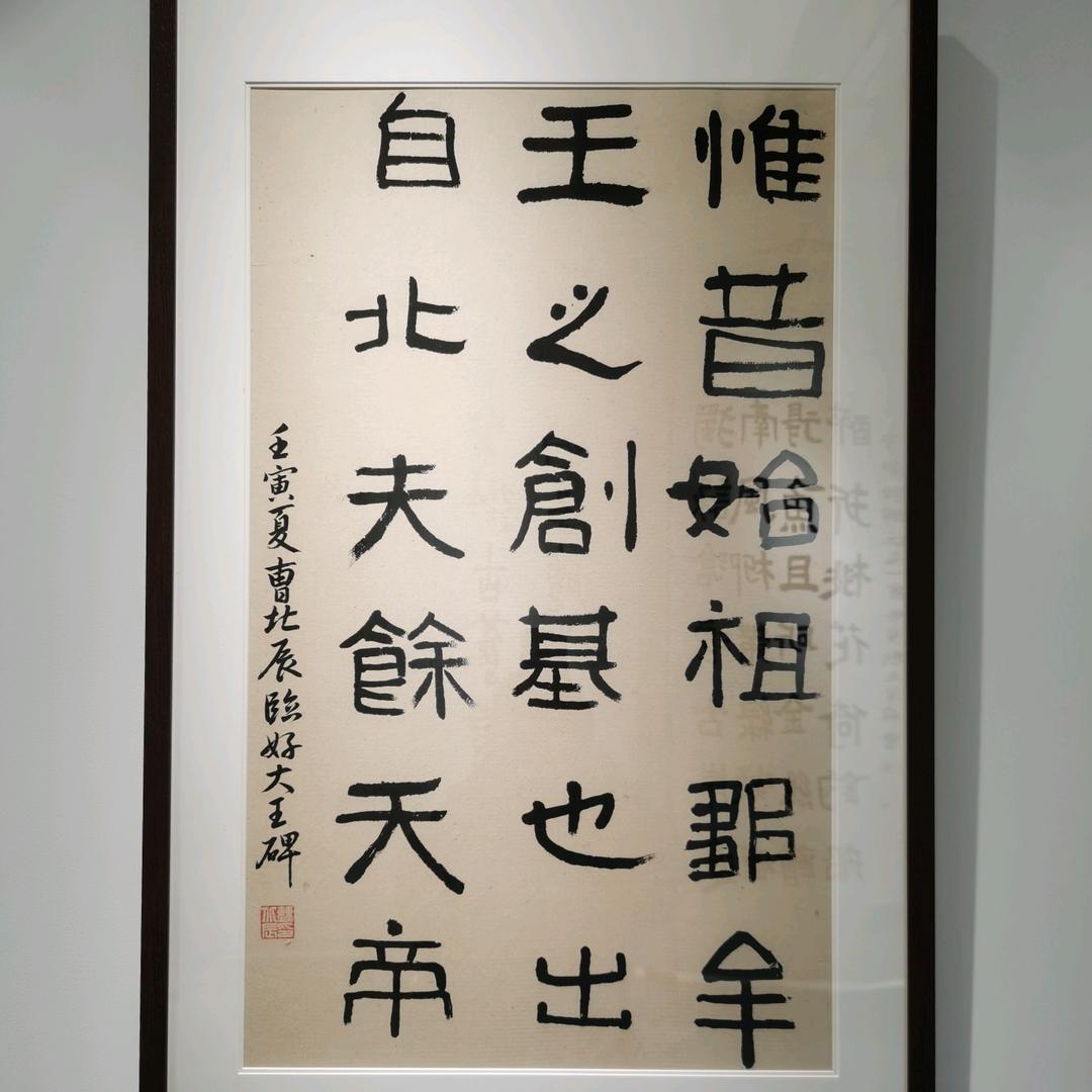 晒太阳的猫眯着眼