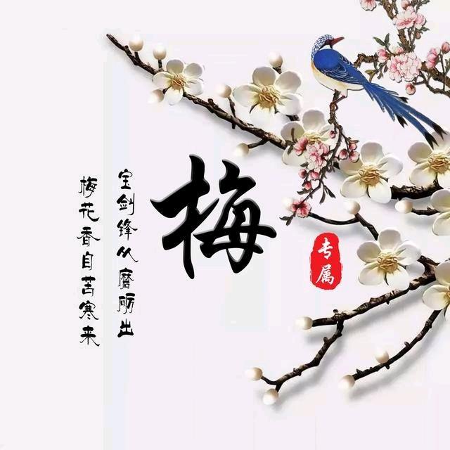 💞自觉矜贵💞