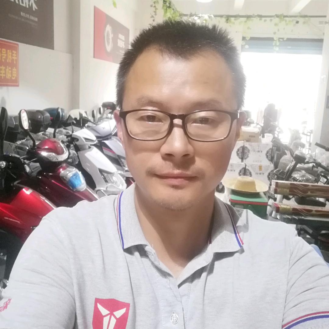 黄陂泡桐新大洲