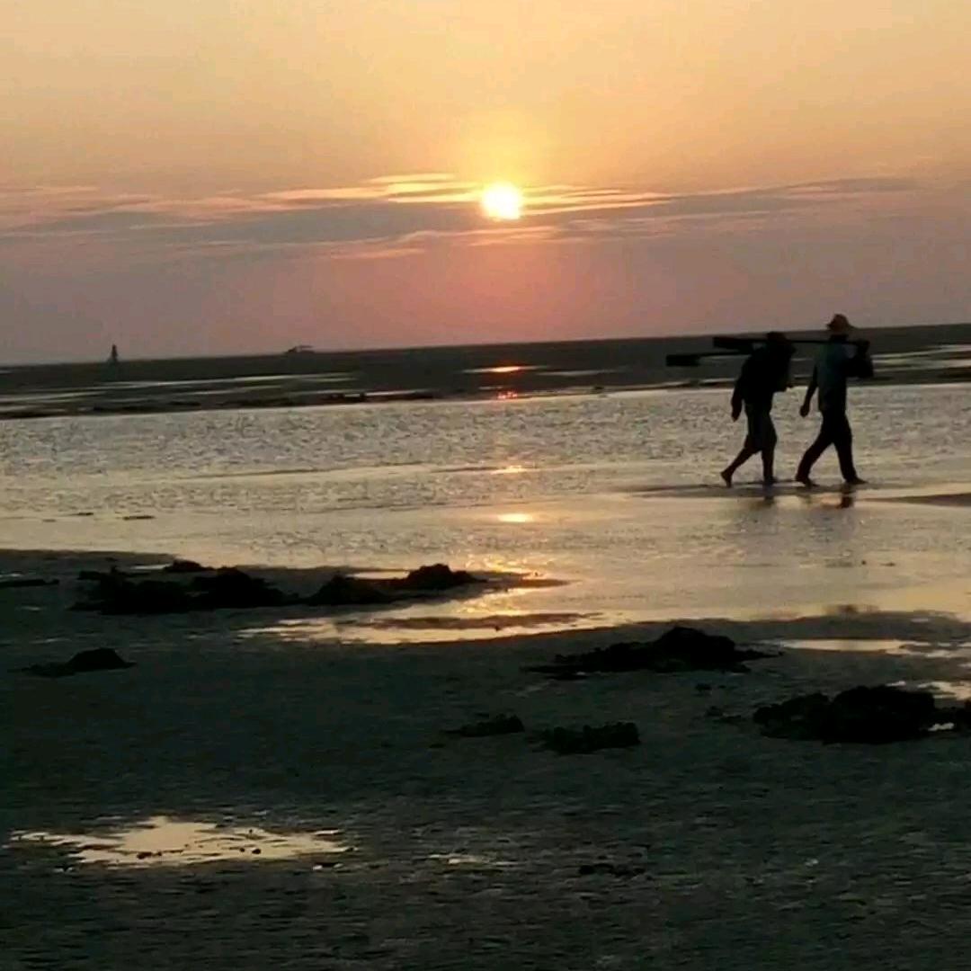 淅川县香炉山家庭农场