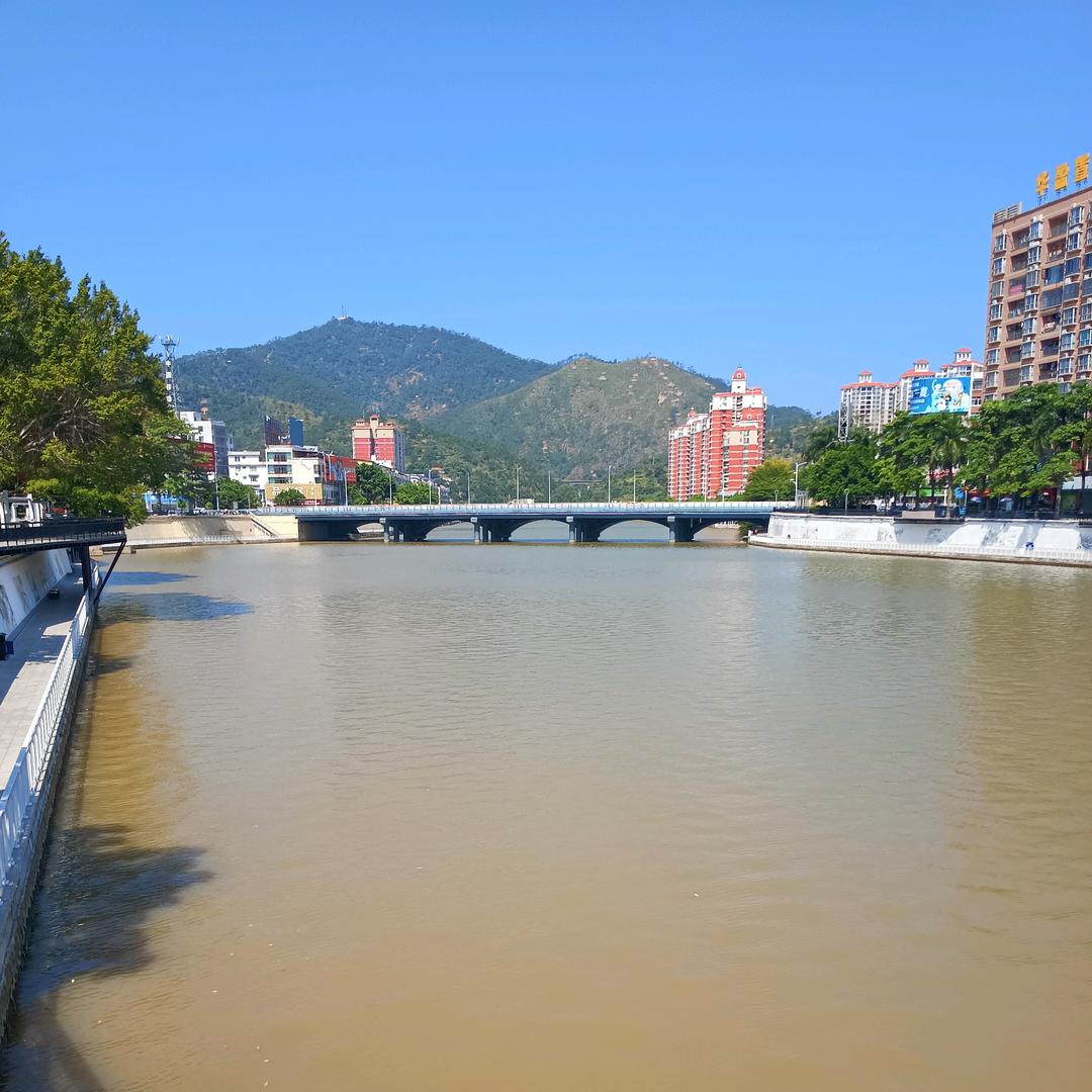 壹抖飞杨