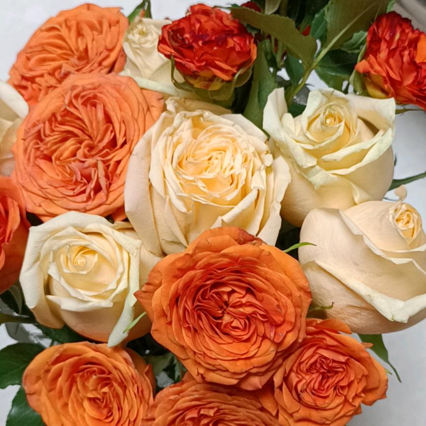 一枝花🌻