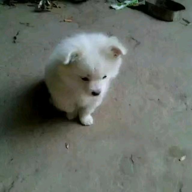 🌈姐姐🌈🌈（互关）