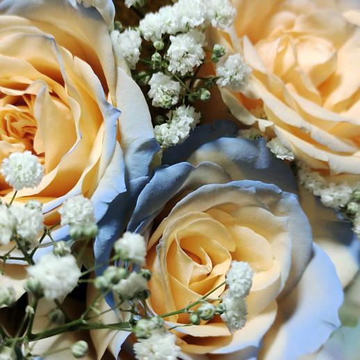 💞ℳঞᩚ小琴꧔ꦿ᭄💞*ꦿ