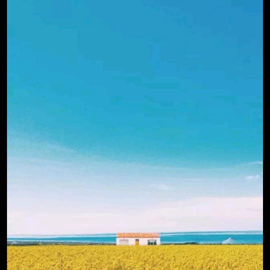 沃勒葛趣头像