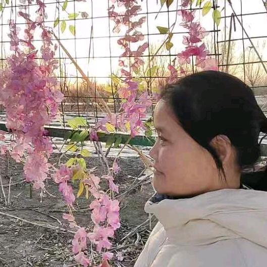刘姐爱生活