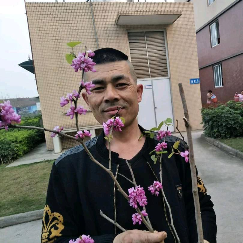 无悔磊哥