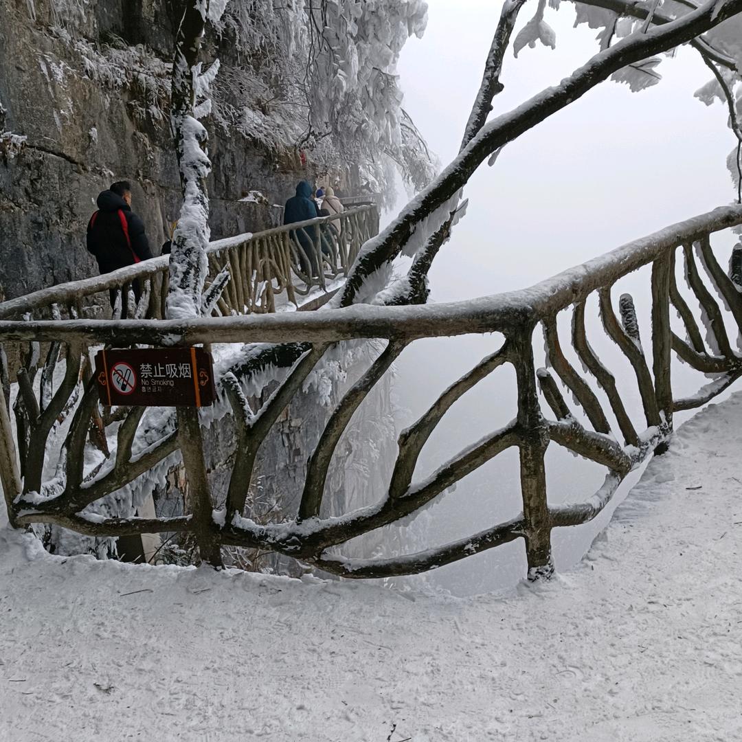 白天不懂夜的黑L