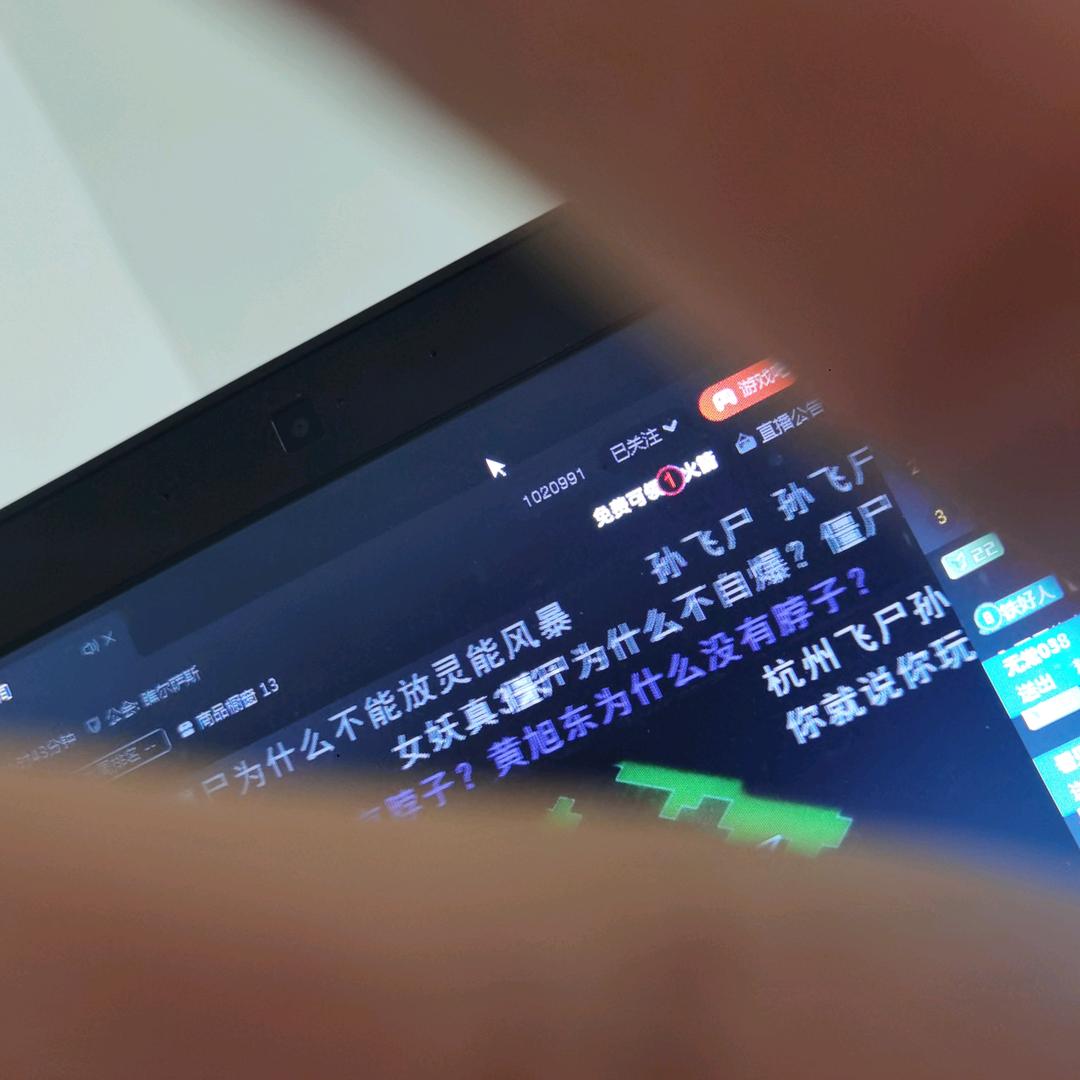 胖胖这次真的来了