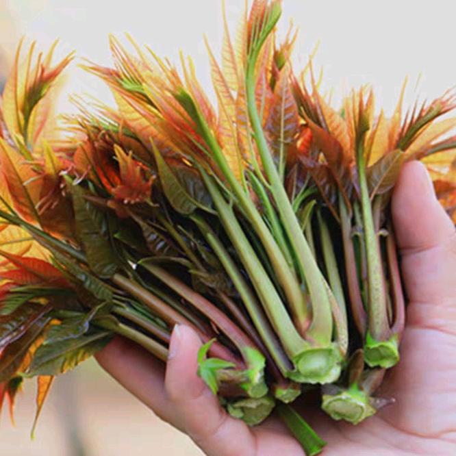 生机镇兔喜生活