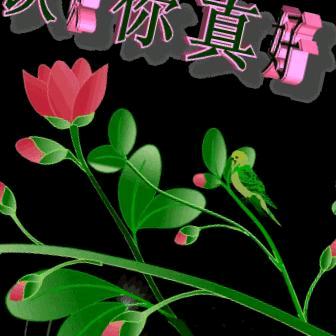 无法忘记你