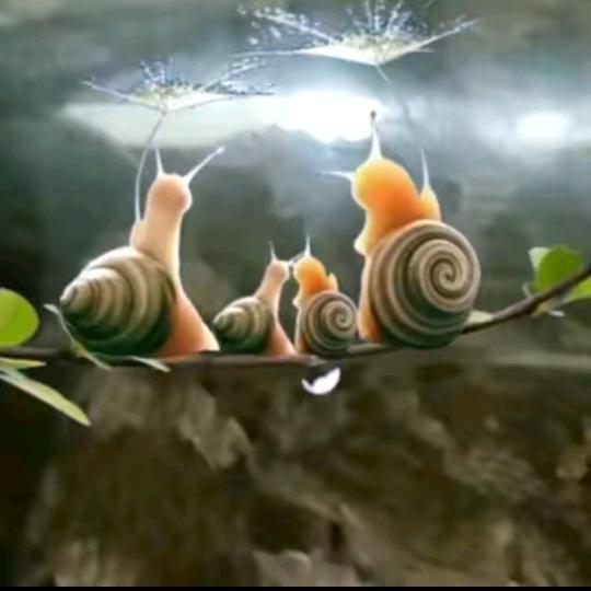 骑着🐮🐮逛街