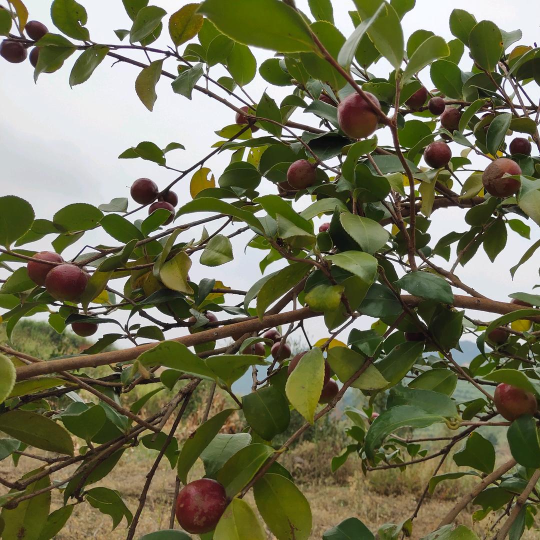 💞⃨᪲余生࿐有你୫໊࿐