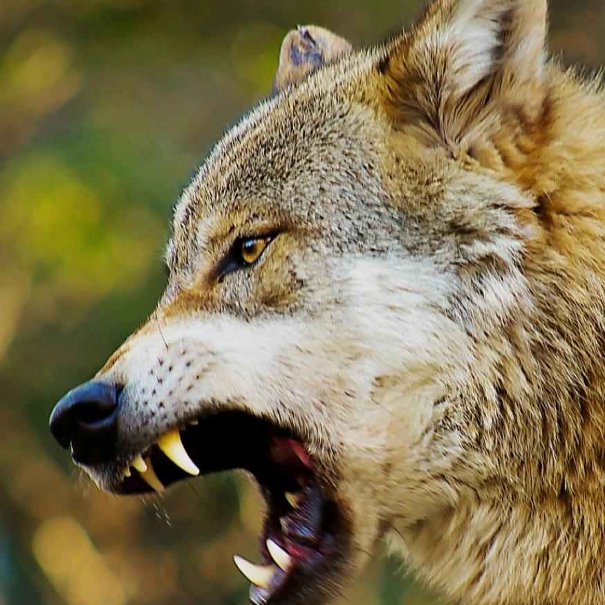 我是一个农民工伯伯