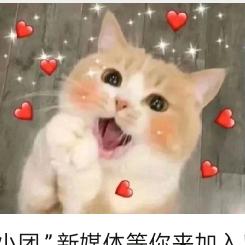 用户720802532