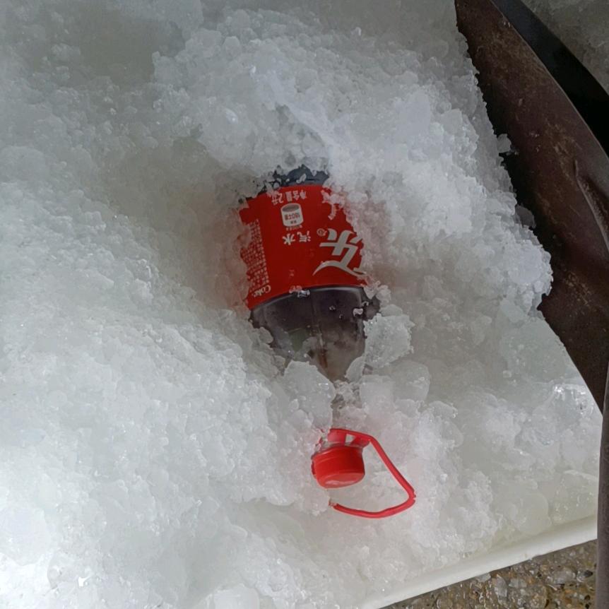 青色番茄