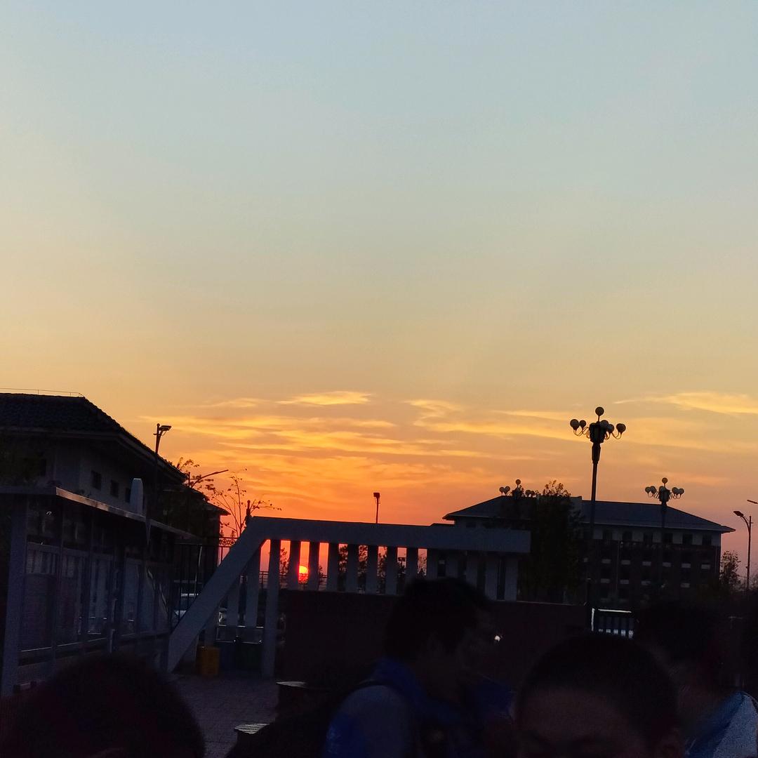 夜羽