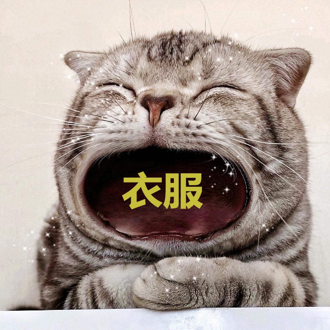 小猫晒鱼干了