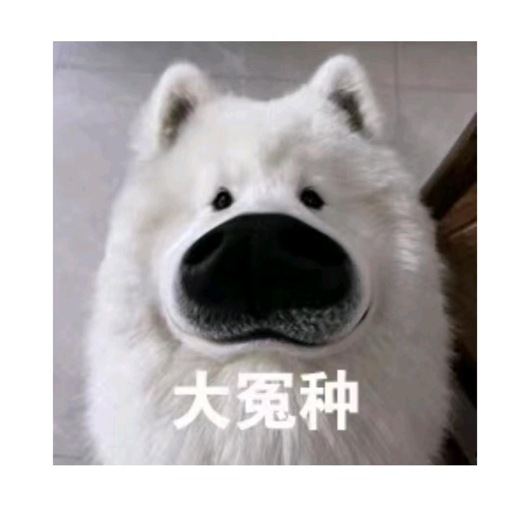 🌈牛魔奶