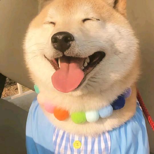 我想当丁老师