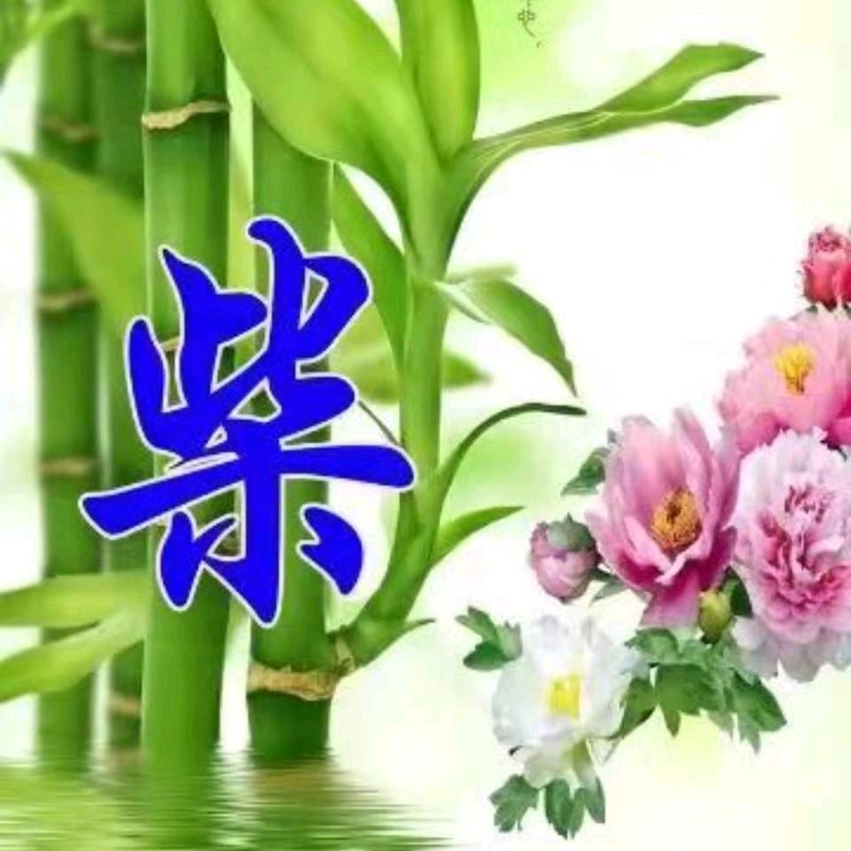 柴     ，