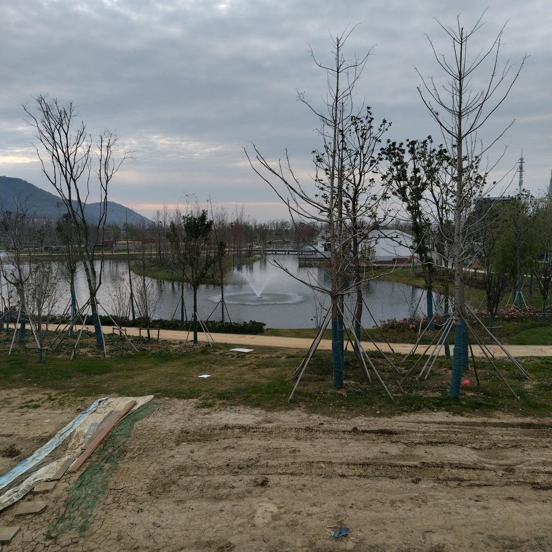 幸福美好时有运气