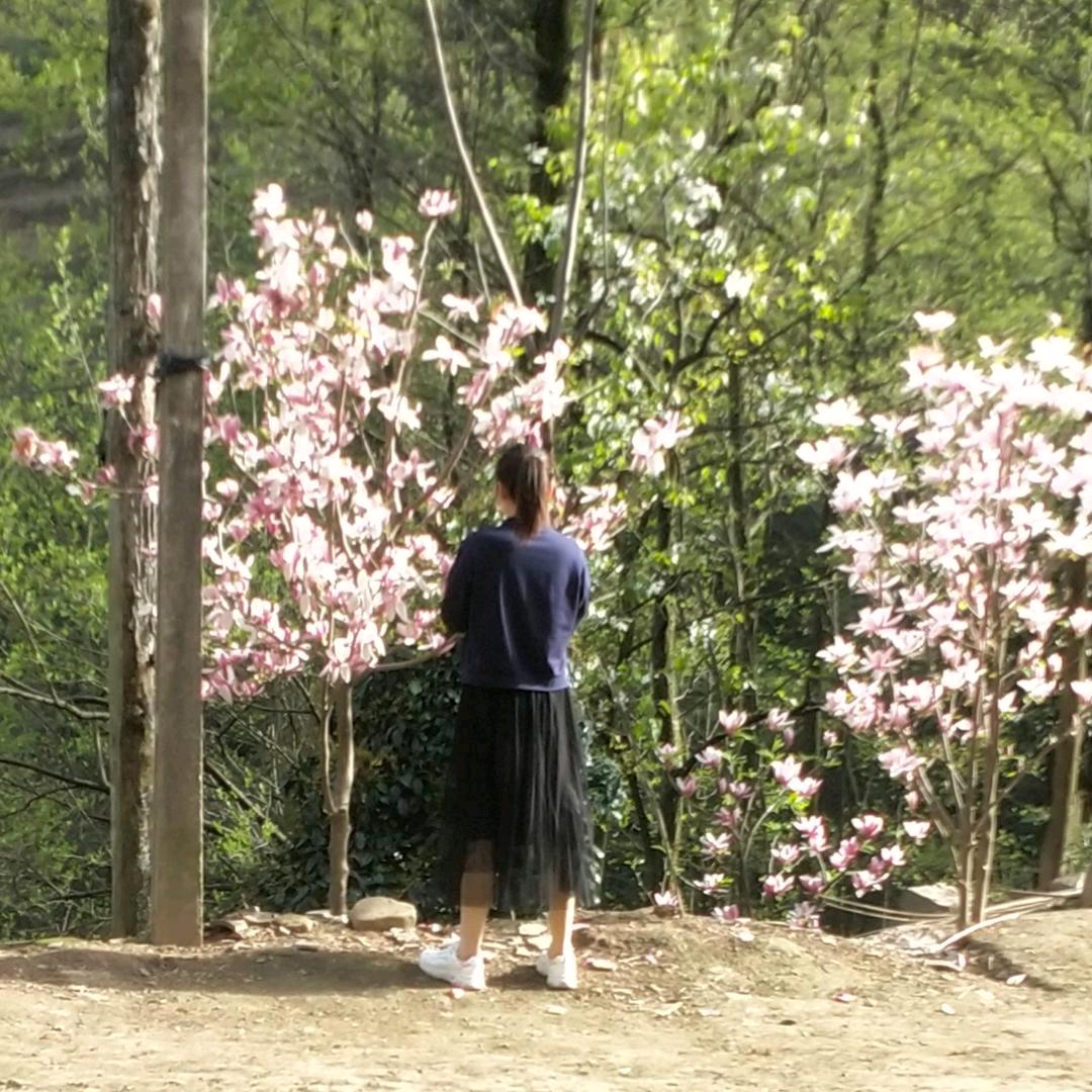 随缘就好