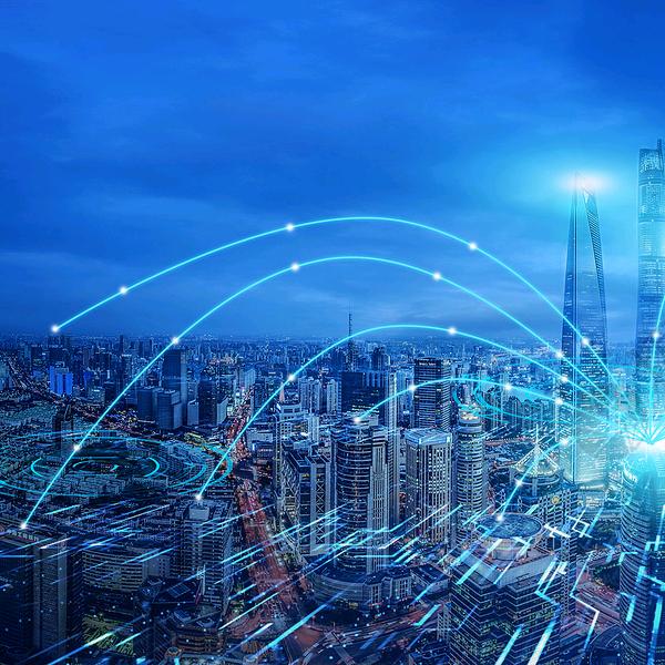 双胞胎饲料😎😎