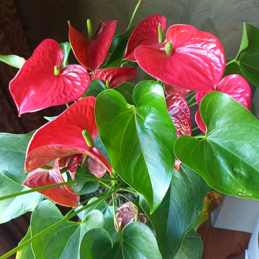 你是鱼🐠我是水