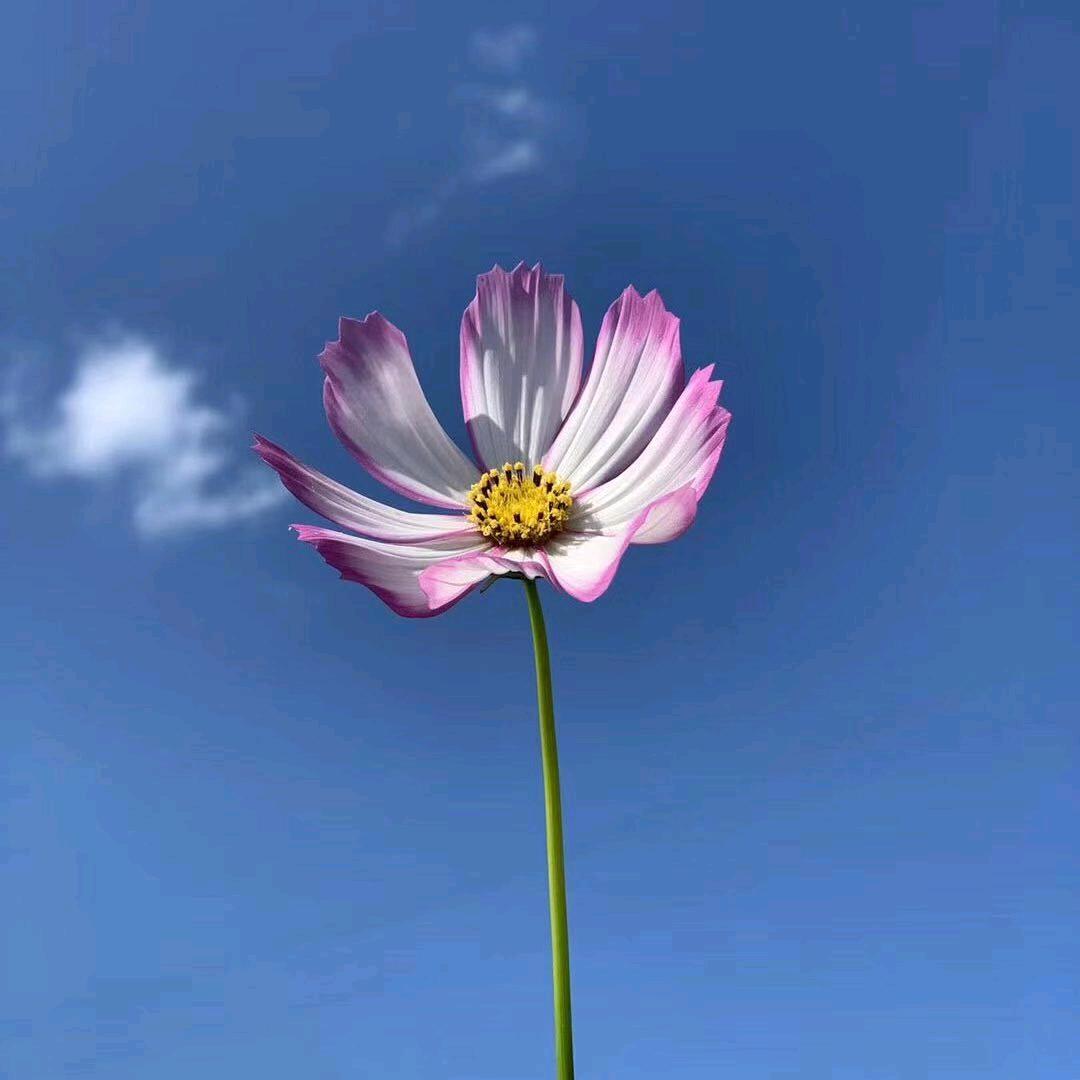 那焰锦熙