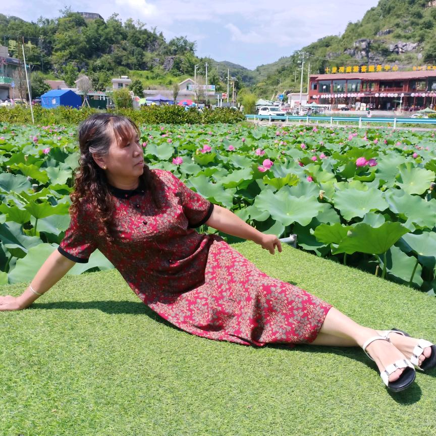 六月的荷花真美