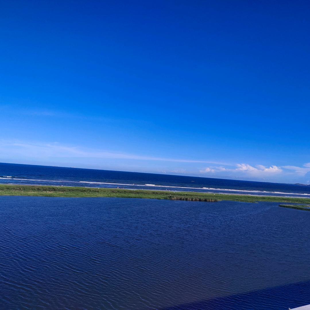 大地飞歌