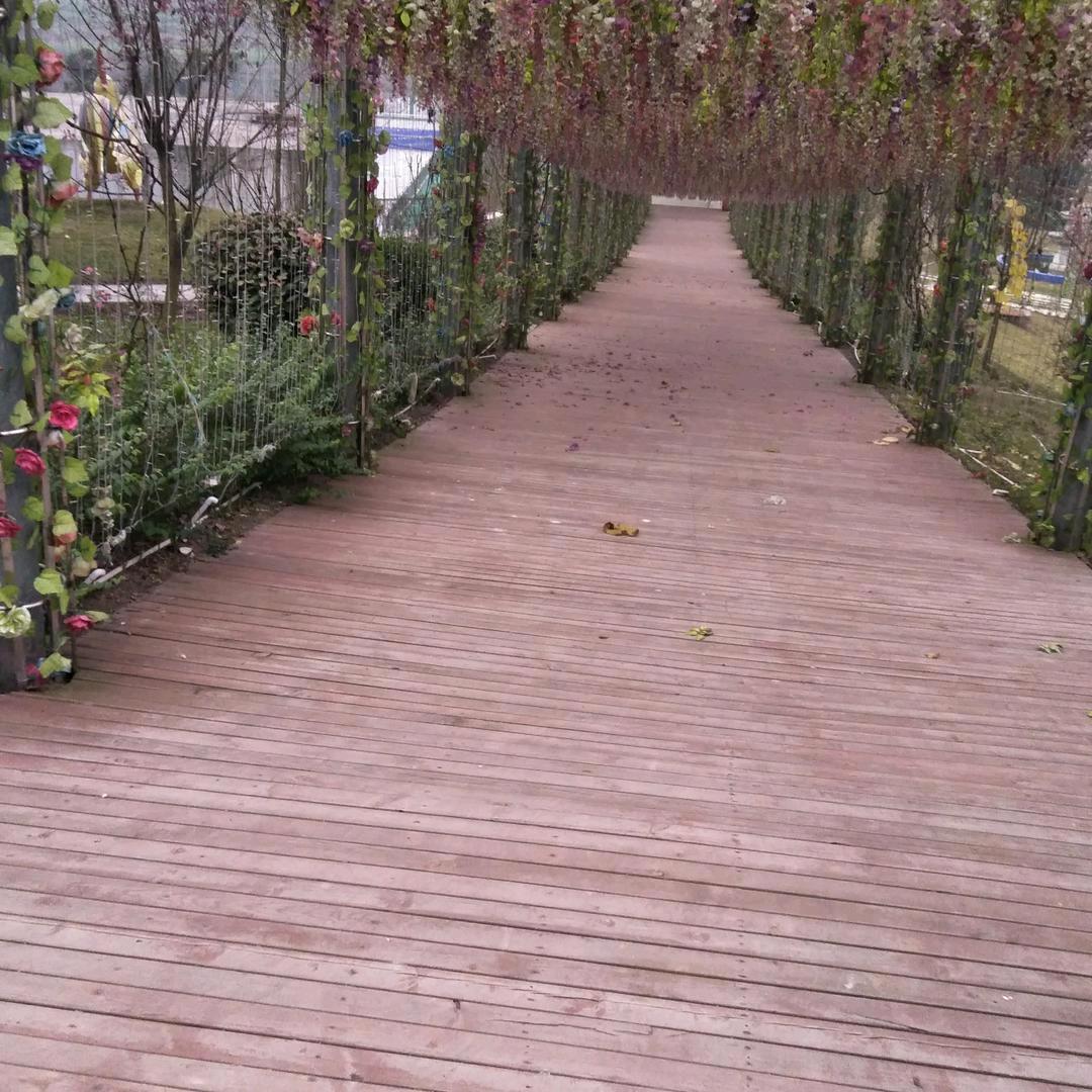 红娘娱乐