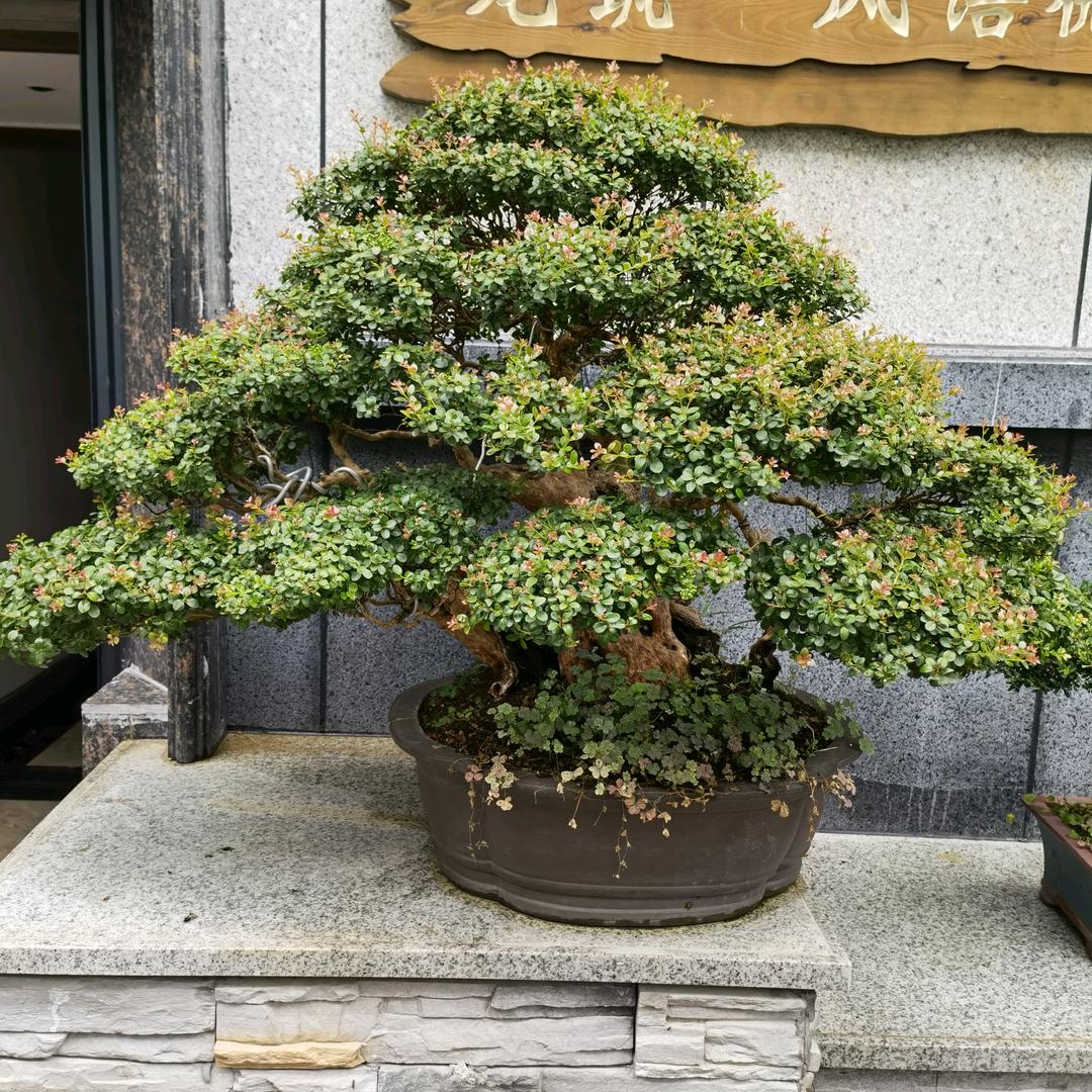 全坤哥