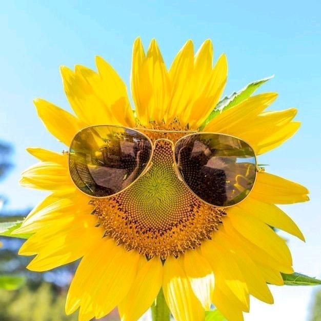 擦擦我的眼泪汪汪的眼睛