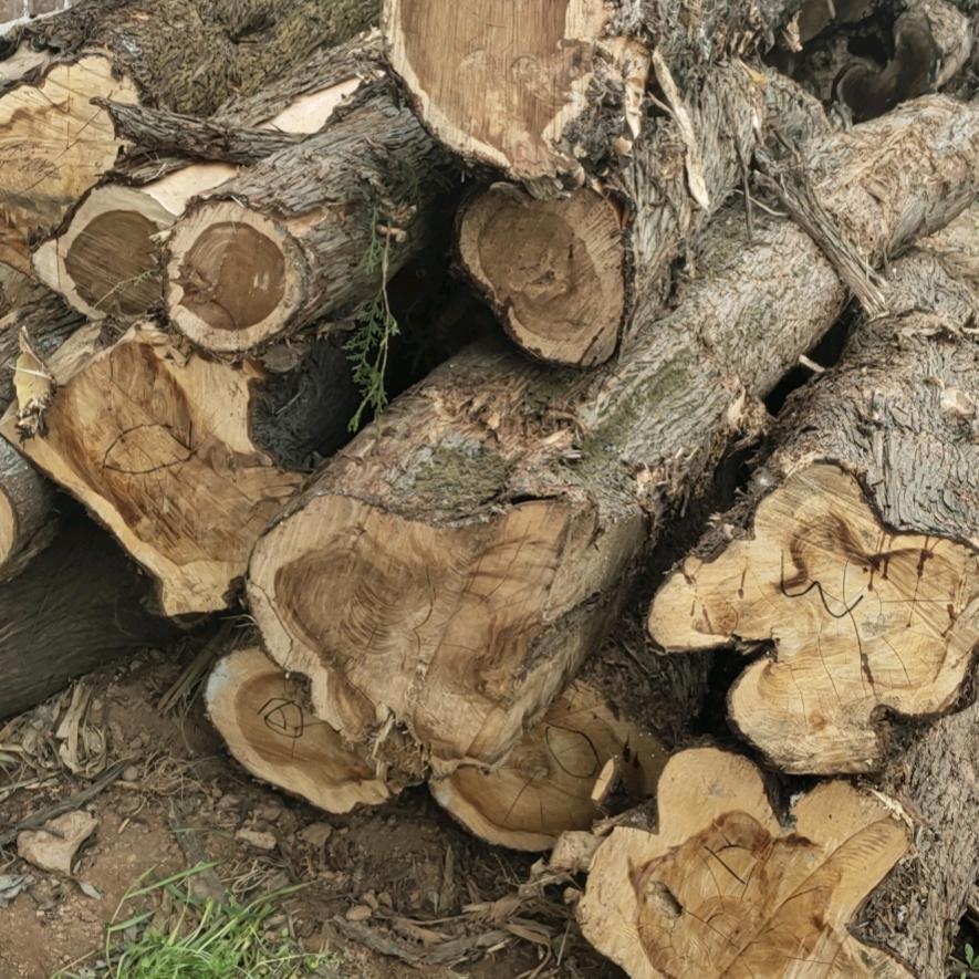 十二里庙四娃龙凤祥葬礼