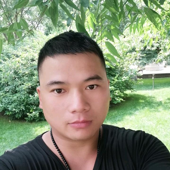 龙