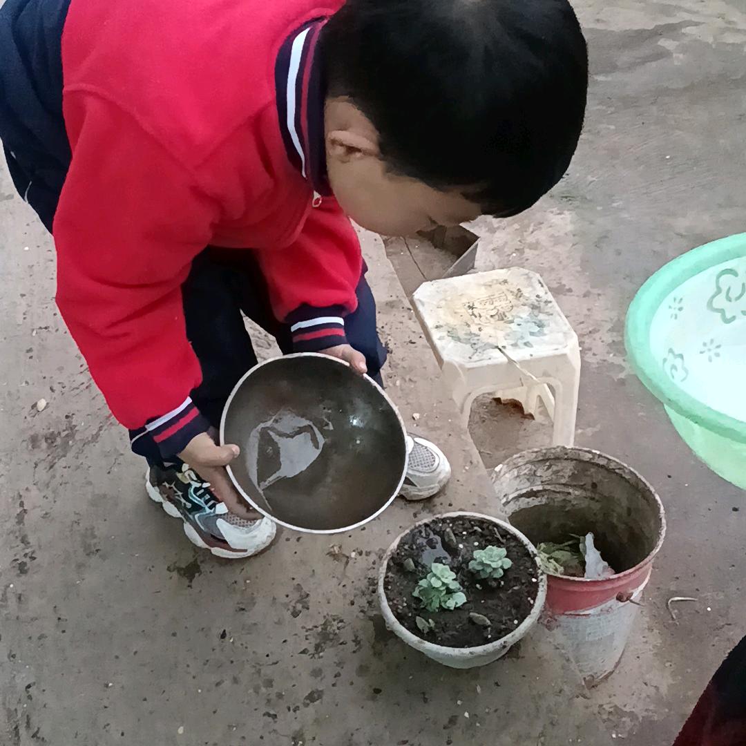 为你❤️动