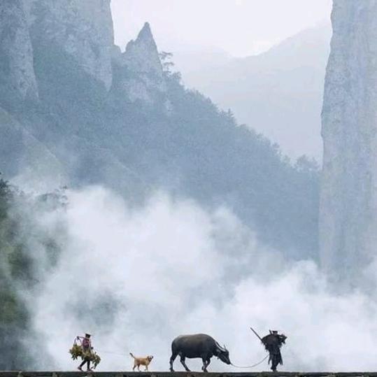 衞