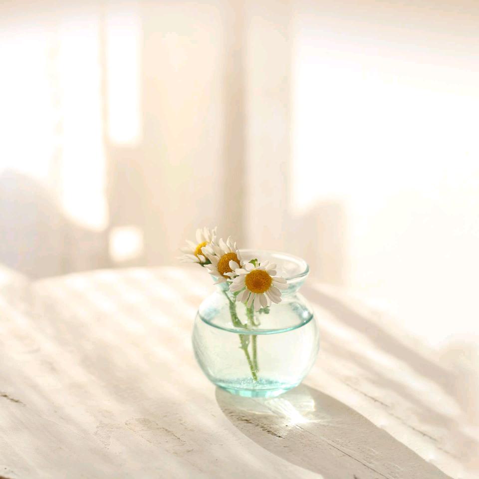 @✺◟(∗❛ัᴗ❛ั∗)◞✺